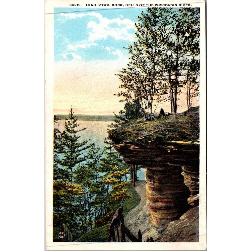Toad Stool Rock Dells of The Wisconsin River Vintage Postcard SP17-23